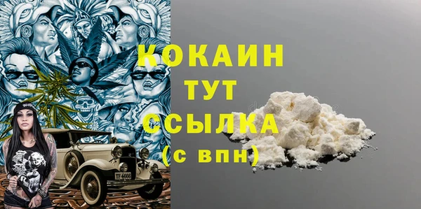 PSILOCYBIN Аркадак