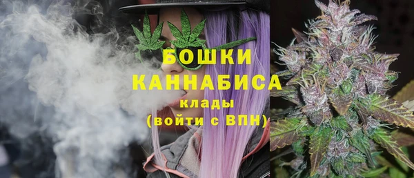 PSILOCYBIN Аркадак
