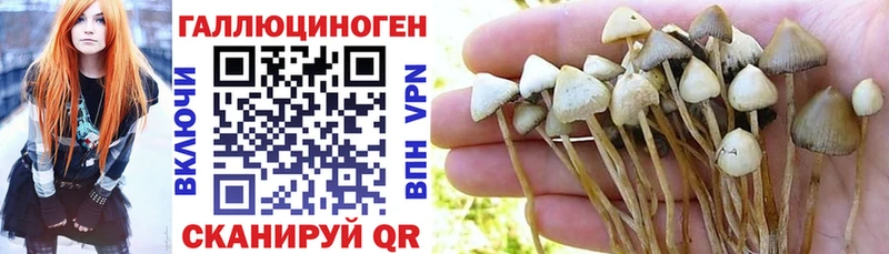 Галлюциногенные грибы GOLDEN TEACHER  Ельня 